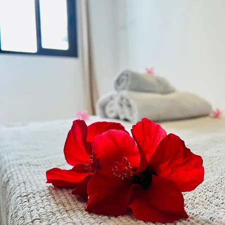 Lavitalsol Lägenhet Costa Adeje (Tenerife)
