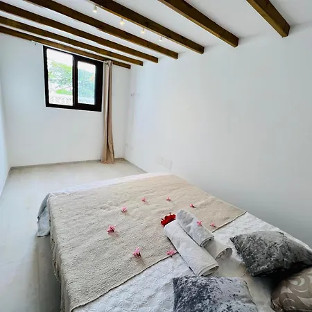 Apartament Lavitalsol *