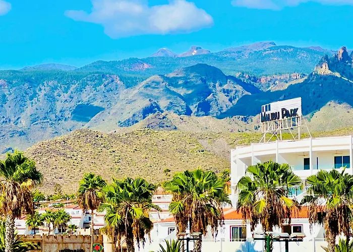 Lavitalsol アデヘ