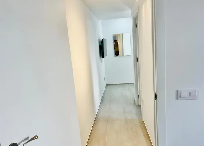 Lavitalsol * アデヘ